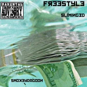 Freestyle (feat. Sliming3d) [Explicit]