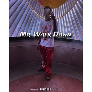 Mr. Walk Down (Explicit)