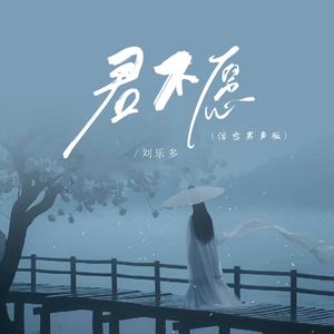 君不愿 (DJ沈乐版)