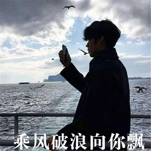 乘风破浪向你飘