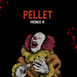 Pellet (Explicit)