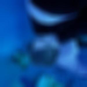 Past Tense (Explicit)