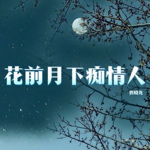 花前月下痴情人 (DJ锋仔版)