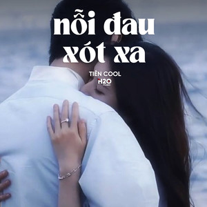 Nỗi Đau Xót Xa (Lofi)