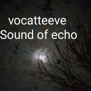 Sound of echo