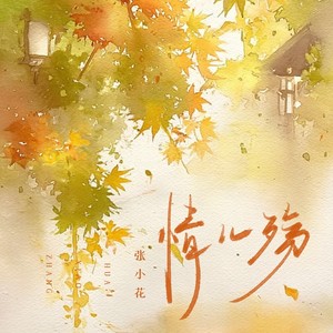 情儿殇