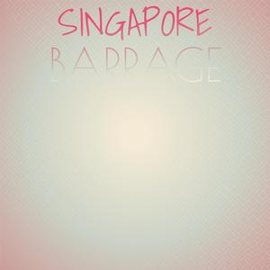 Singapore Barrage