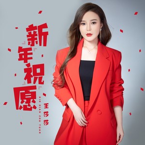 新年祝愿 (DJ何鹏版)