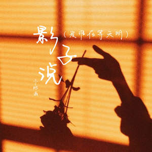 影子说 (是谁在等天明)