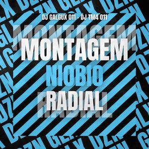 MONTAGEM NIOBIO RADIAL (feat. DJ TM4)