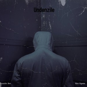 Undenzile