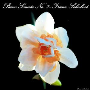 Piano Sonata no. 7 in E flat major, D. 568 - Piano Sonata No. 7 in E flat Major, D. 568: I. Allegro moderato