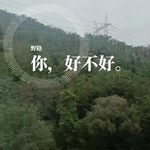 野路 - 你好不好