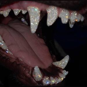 Rated R 18+ (Explicit)