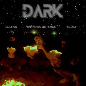 DARK (feat. Kîîzzay) [Explicit]