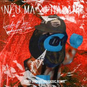 Nếu Mà 0 Phải Anh (feat. Wxrdie) (Teddy Doox & VoVanDuc Remix)