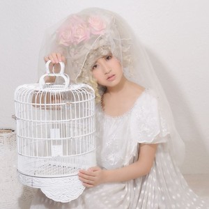 BabyStructure (伴奏)