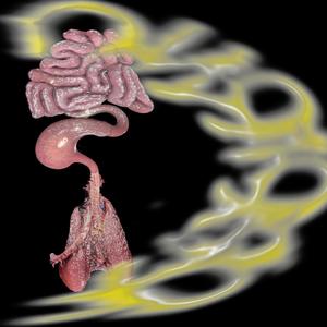 Při Tomhle Beatu Si Představuju Chicágský Ulice Instrumentál(feat. Abster)