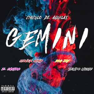 Gemini (Explicit)