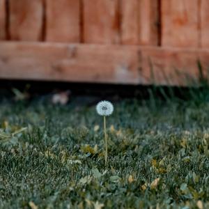 fall asleep (mellow mix)