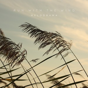 Run With The Wind