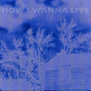 How I Wanna Live (Explicit)