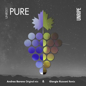 Pure (Giorgio Rusconi Remix)