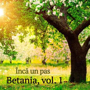 Betania, vol. 1 - Inca un pas