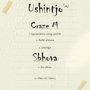Ushintjo (feat. Sbhova)