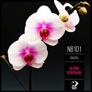 Shower (Original Mix)