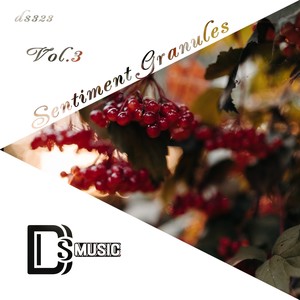 Paradise (Igor Kalinin Remix)