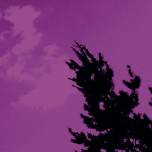 Siguiendo una Sombra