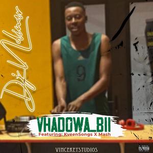 Vhadowa_Bii (feat. KveenSongs & Mash)