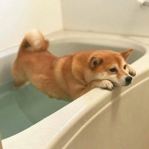 妙龄童封面