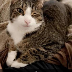 How Many Times (Explicit)