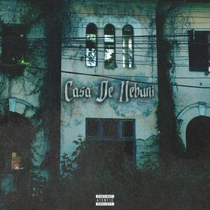 Pantaloni Scurti (feat. DJ AL*BU|Explicit)