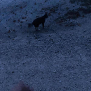 YOU DEAD (feat. BLAINE X) (Explicit)