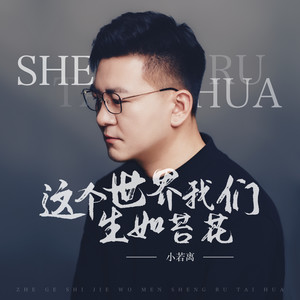 这个世界我们生如苔花