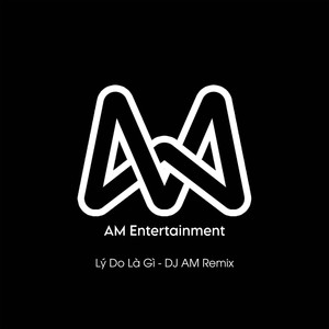 Lý Do Là Gì (DJ AM Remix)