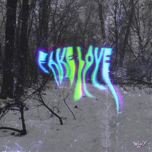 Fake Love (Real *****) (Explicit)