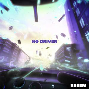 NO DRIVER (CRASH Version)