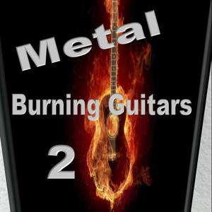 Burning Guitars 2