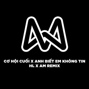 Cơ Hội Cuối x Anh Biết Em Không Tin (HL Remix)