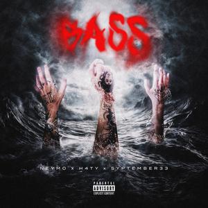 BASS (feat. H4TY) (Explicit)