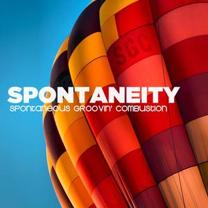 Spontaneity