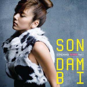 Son Dambi Remix Vol.1