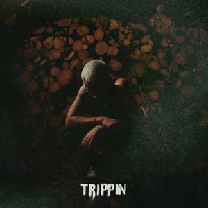 TRIPPIN (Explicit)