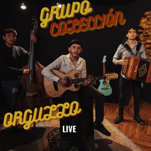 ORGULLO (LIVE) [Explicit]