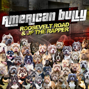 American Bully