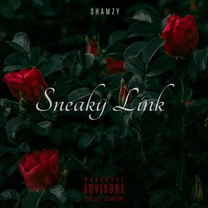Sneaky Link (Explicit)